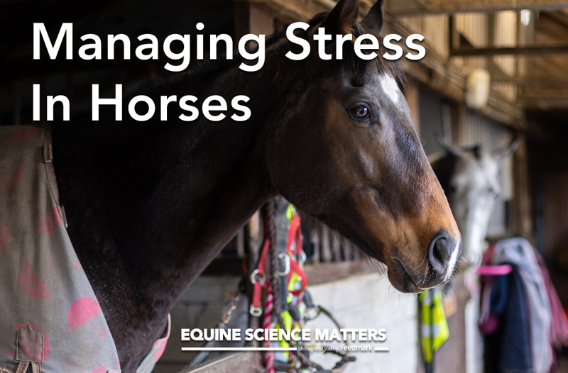 Managing Stress In Horses | Equine Science Matters™